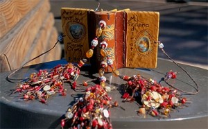 Crane book -- Sedona covers