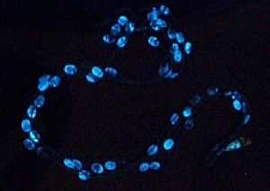 Crane jewelry -- glow ovals blue