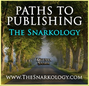 Path to publishing s