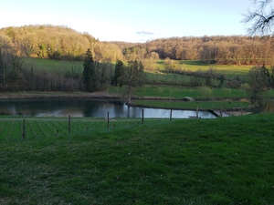 The lake and vinyard at sunset 